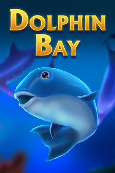 Dolphin Bay
